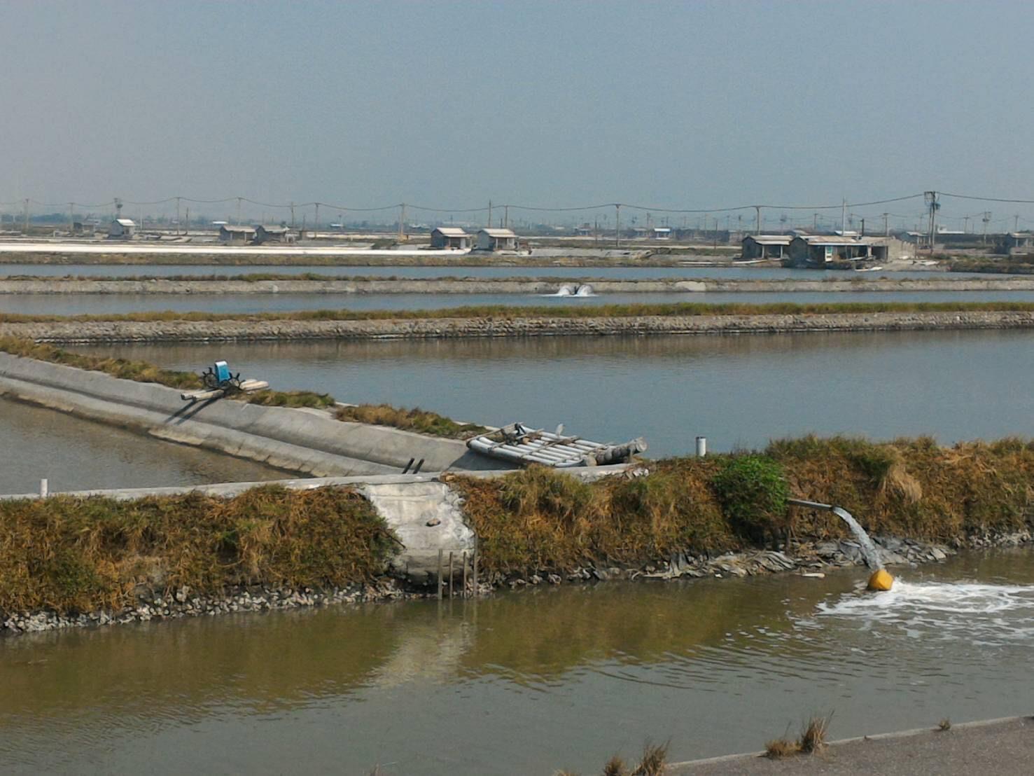 台西工業園區更名後停滯3年 劉建國競總:張麗善欠台西人一句道歉! 22 S 53518394