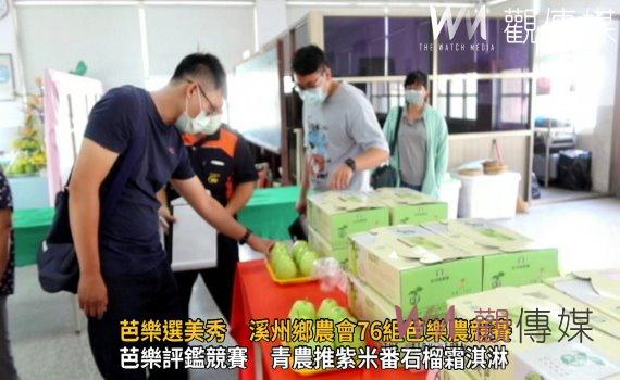 影/芭樂選美秀 溪州鄉農會76組芭樂農競賽 青農張禾茂掄元