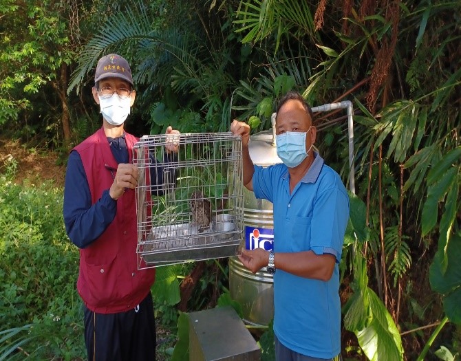 經帶回貢寮區拾獲地點後,與送交人簡志興一同準備完成領角鴞野放任務。圖片來源:新北市政府動物保護防疫處