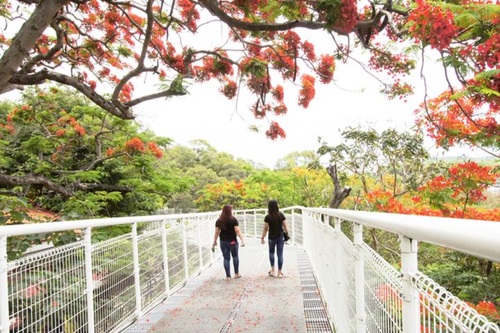 彰化市網紅景點-天空步道。 圖:彰化縣政府城市暨觀光發展處/提供