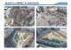 1111014養工新聞照片-府北公園今日開放使用6