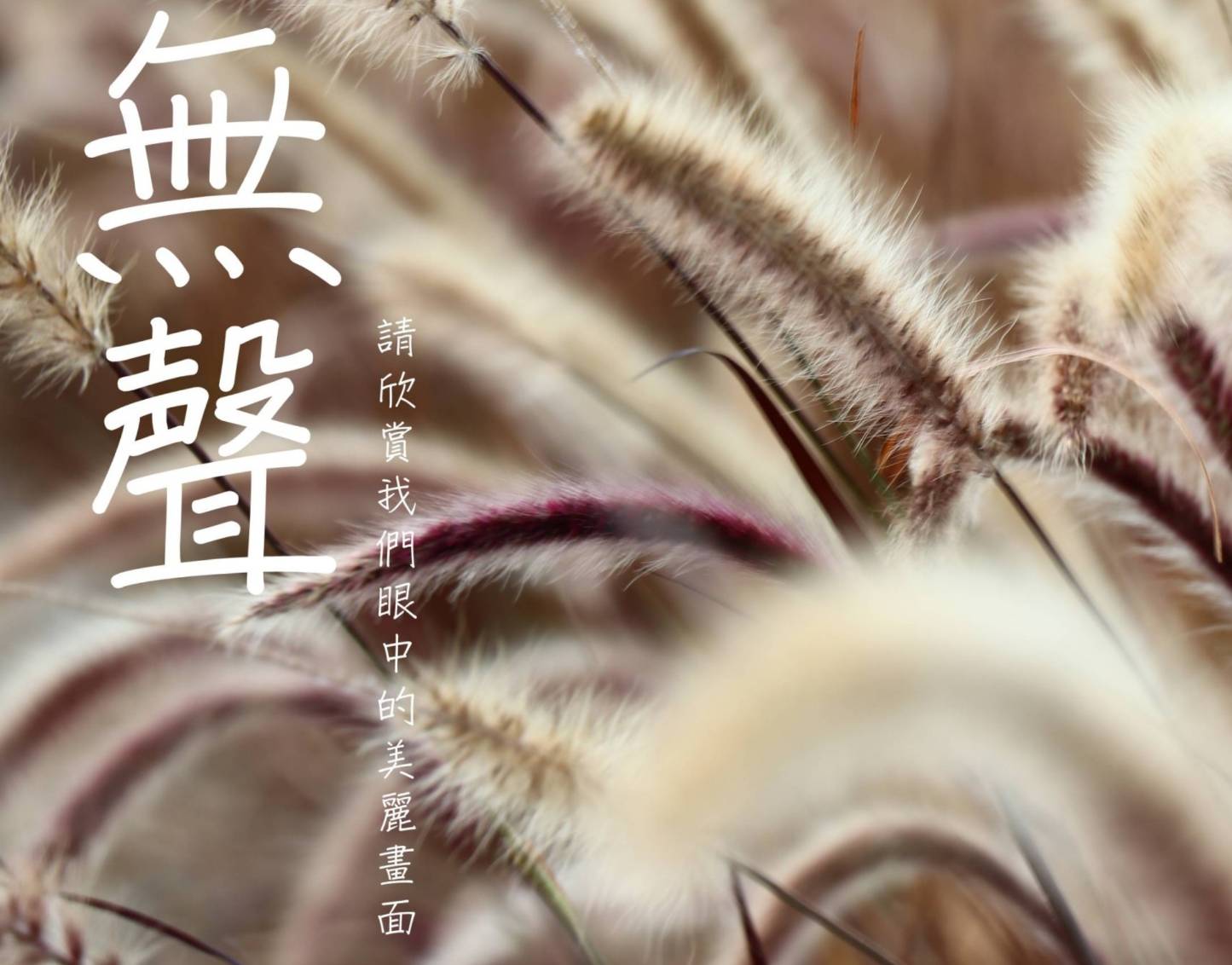 圖片說明:社團法人台中市聲暉協進會攝影班成立目的是期望聽障者透過攝影這門視覺藝術,單純且直接地表達內心感受,再藉由辦理攝影展,使聽障者能夠表達自己,此為其中一幅作品。(記者林㤈輝翻攝)