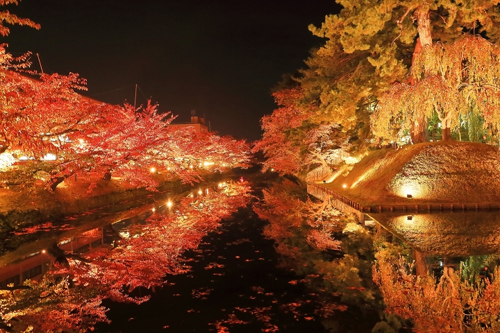 日本名城配楓紅！弘前城菊花和紅葉節10/28登場