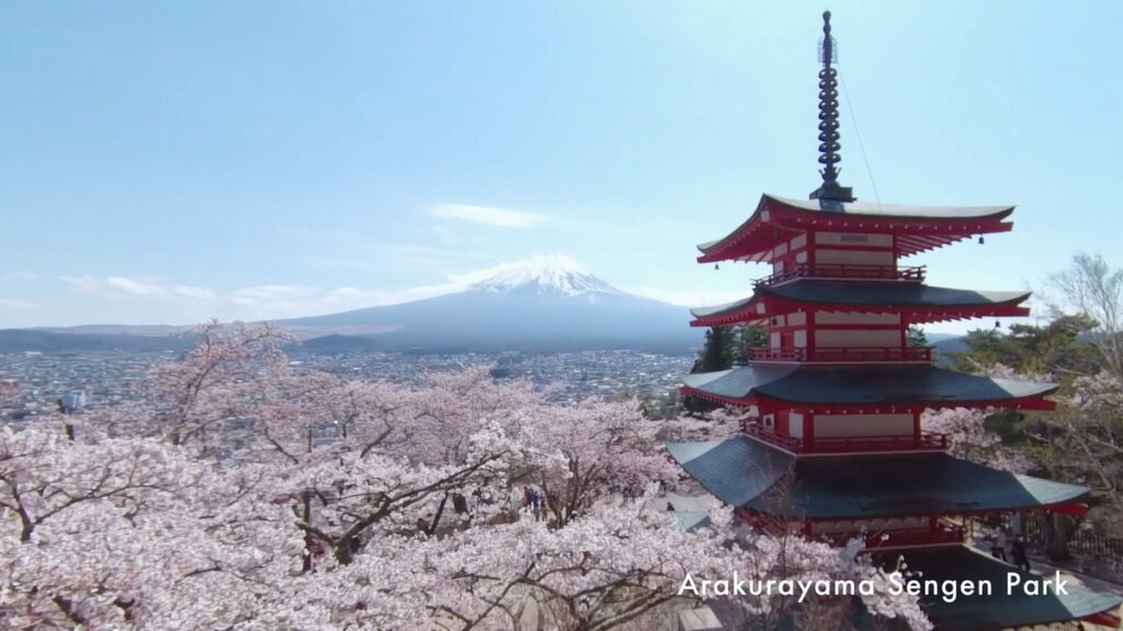 新倉山淺間公園有莊嚴的忠靈塔和富士山,配上春季盛開的櫻花,成為每位旅客的相機殺手。(ANA 提供)