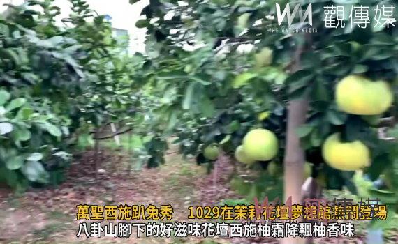 影／萬聖西施趴兔秀　1029在茉莉花壇夢想館熱鬧登場