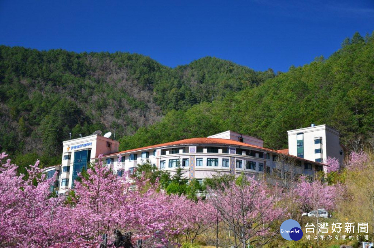 武陵富野渡假村坐擁無敵櫻花美景。