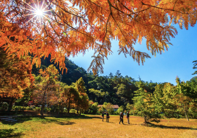 wuling-farm