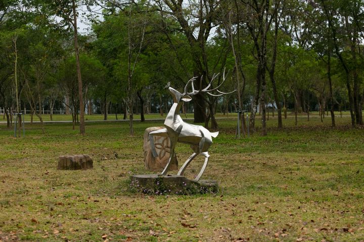 騎遊茂林/乘電輔自行車 體驗新威森林公園美景好輕鬆