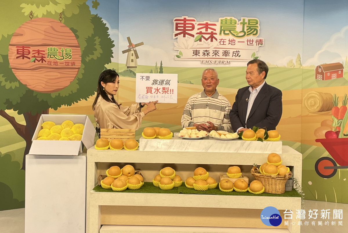 中市農業局攜東森購物 力推梨山甘露梨