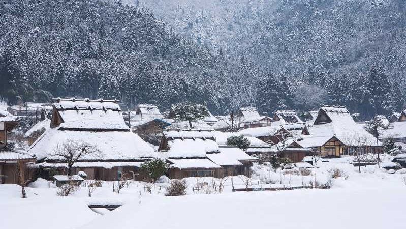 天橋立美山5
