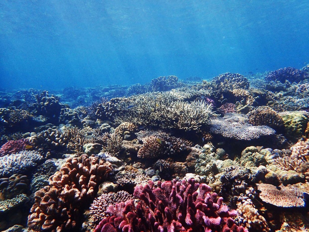 沖繩浮潛