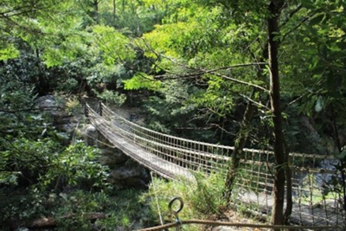 中市環山獵人登山步道第一期完工 開啟梨山觀光新契機