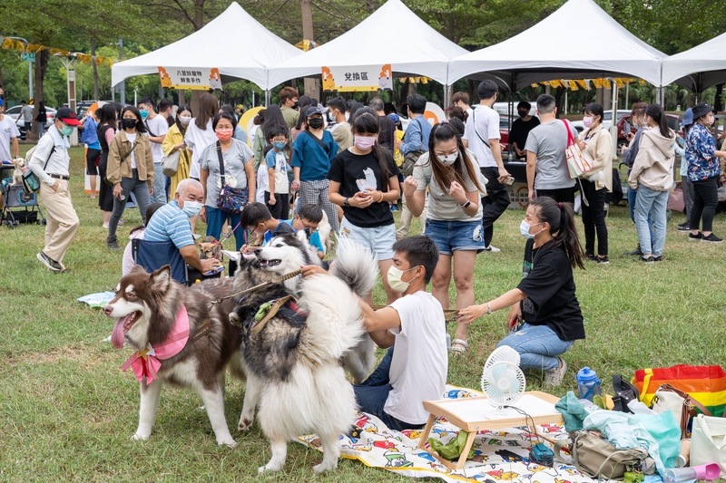 漾新聞|毛孩秋日野餐趣 近百隻毛孩齊聚凹子底森林公園同樂