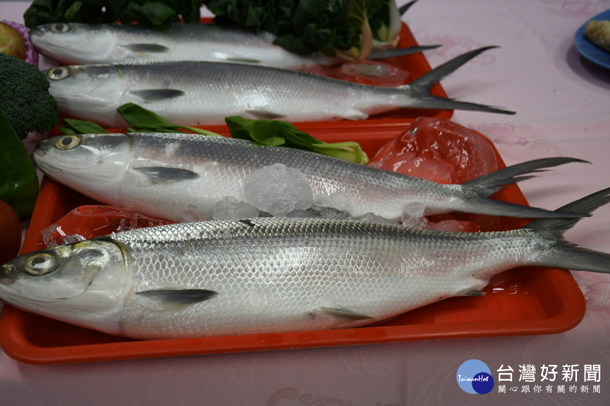「彰化有好市 相揪買菜 抽大獎」活動,記者會上擺上現撈的鮮魚 。圖/彰化市公所提供