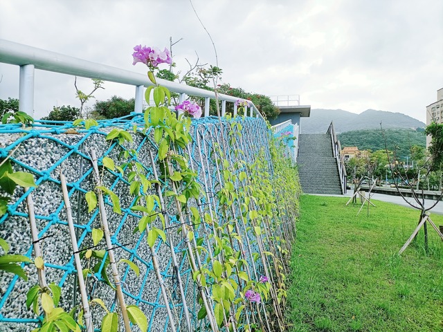 行政中心增加建物牆面立體綠化.jpg