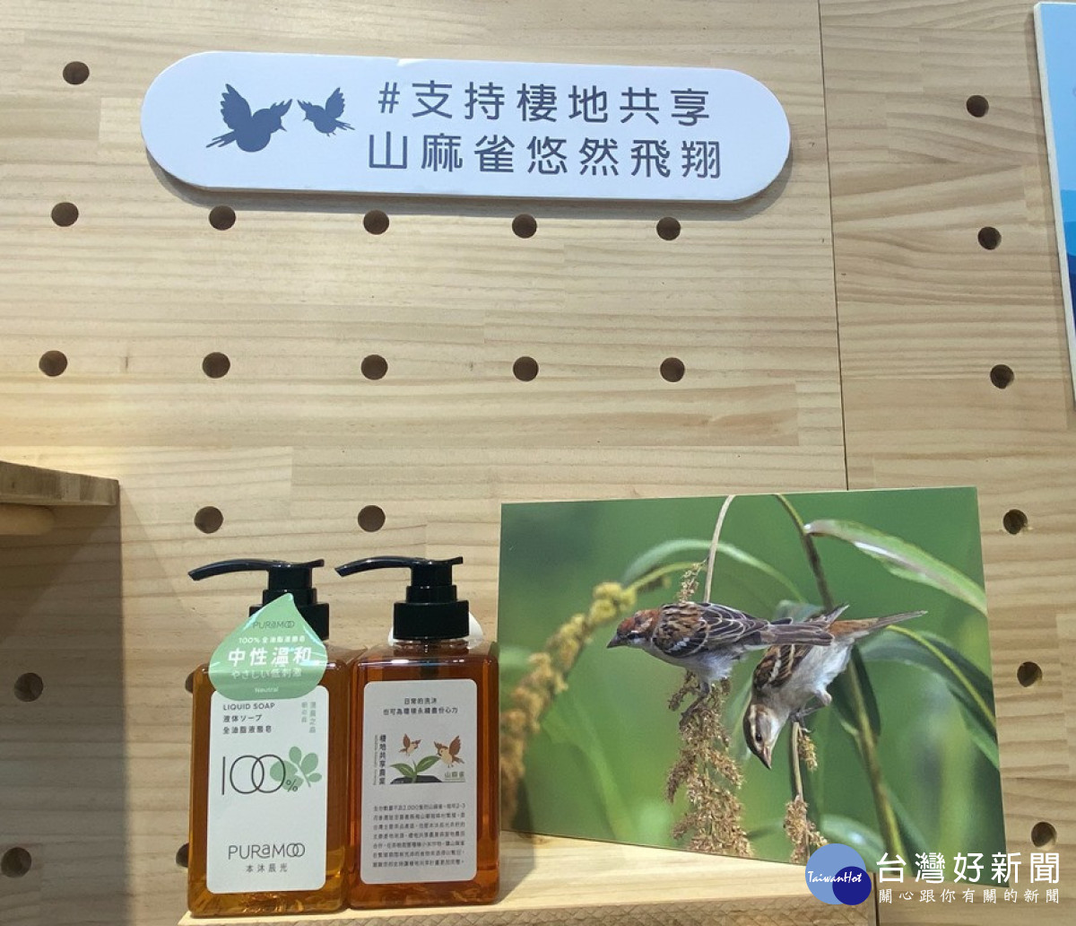 協助推動復育山麻雀,水保局媒合昌祐國際有限公司跟嘉義阿里山瑞峰社區的農友合作,利用原被廢棄的高山茶茶籽,製作成100%純植物油成分的液態手工皂。(圖/王丰禾記者攝)