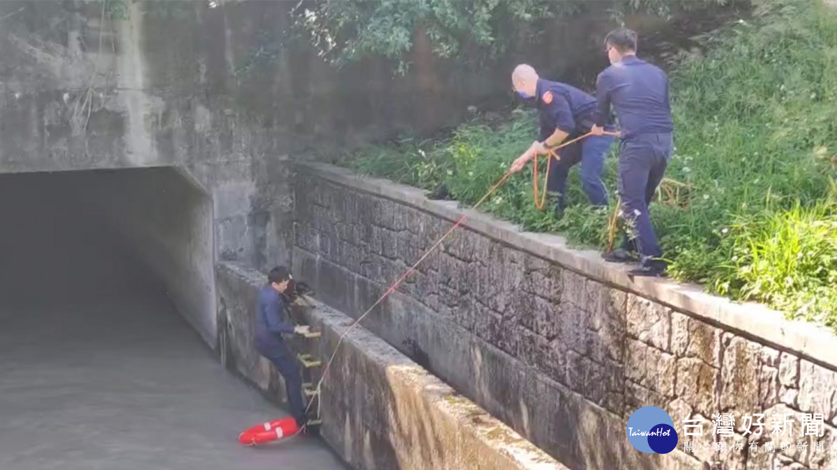 黑狗兄失足落水，楊梅警奮力撈起。