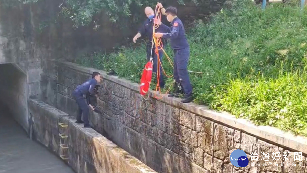 黑狗兄失足落水,楊梅警奮力撈起。