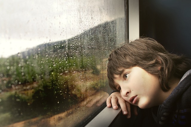 little-boy-g7bf05f268_640.jpg