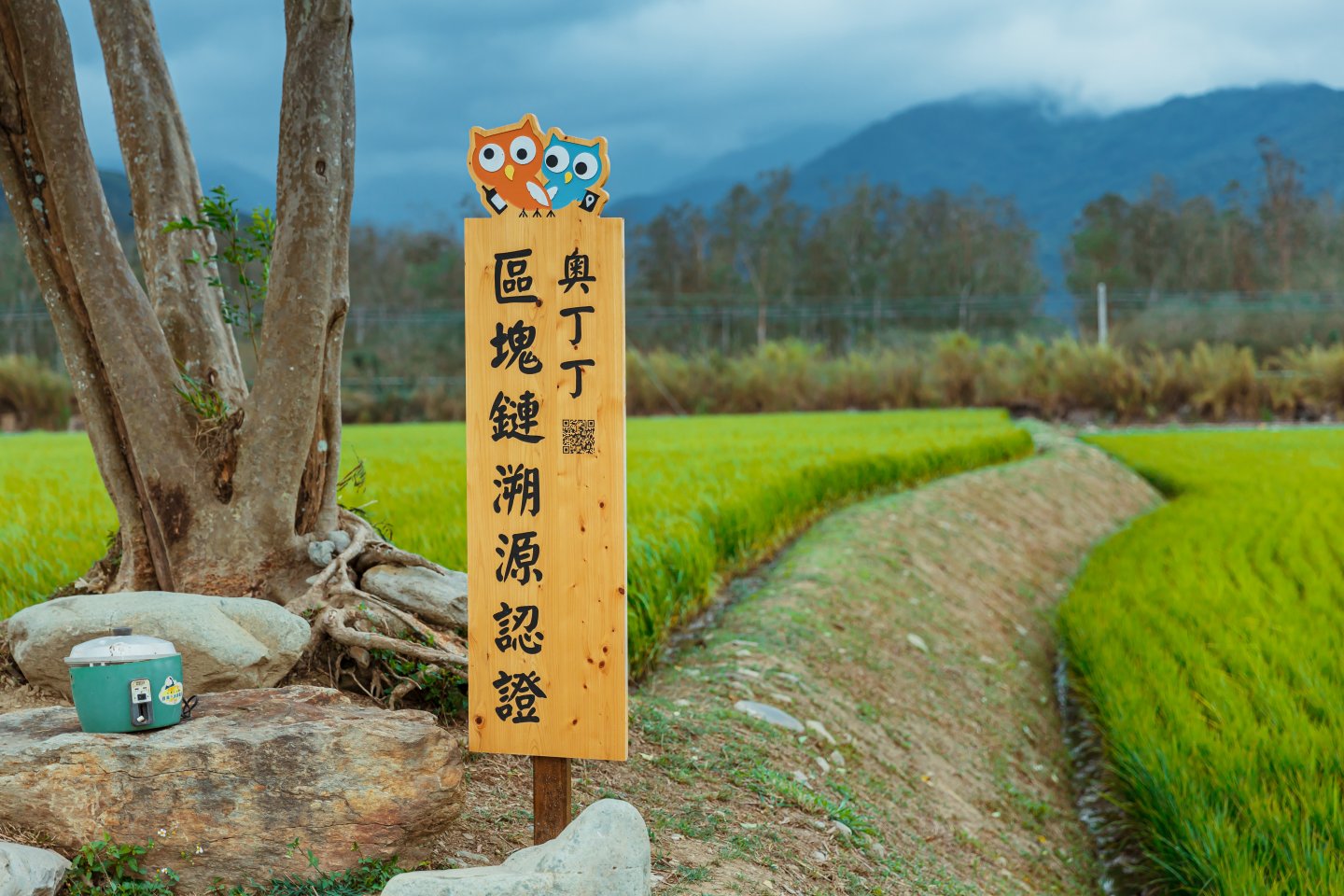 池上禾穀坊的魏大哥説,傑出兩個字,就是在平凡的日子裡,努力做好份內的工作,讓社會與環境更好。