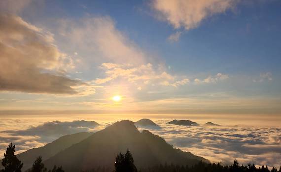 雲瀑正當時 上阿里山賞遊雲海