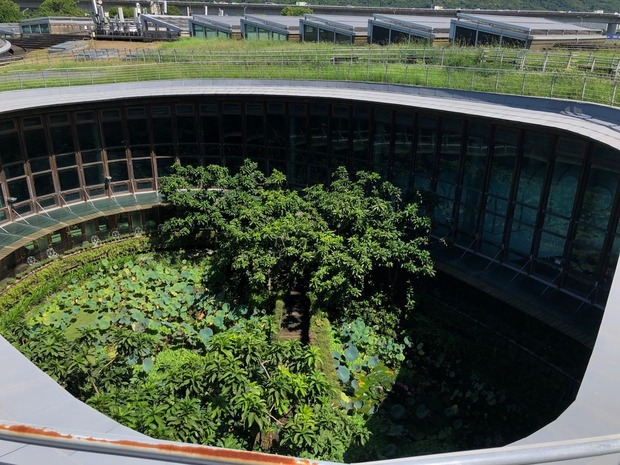 植物.jpg