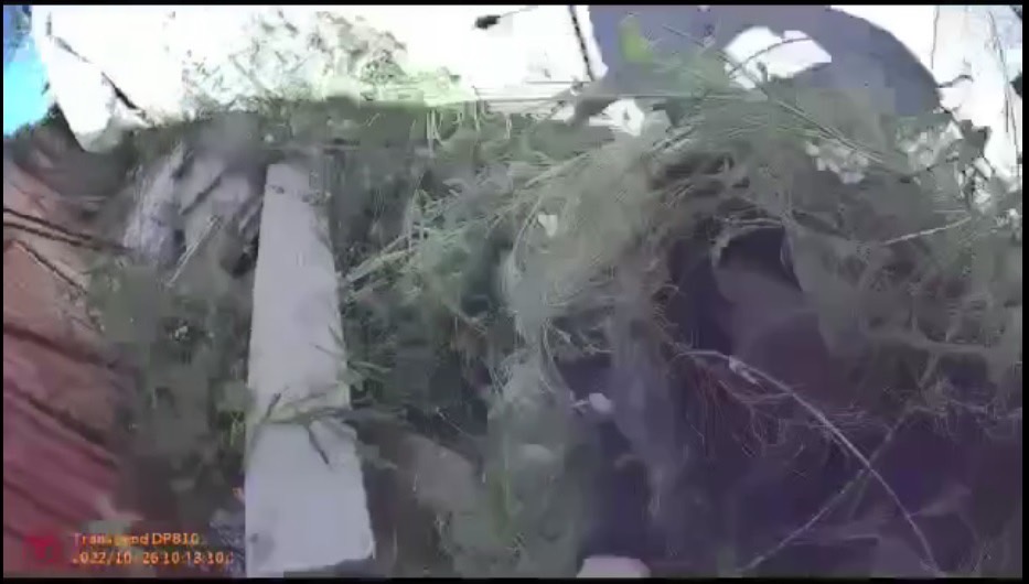 圖片說明:失聯移工化身稻草人仍遭移民署人員查獲。(記者宋紹誠翻攝)
