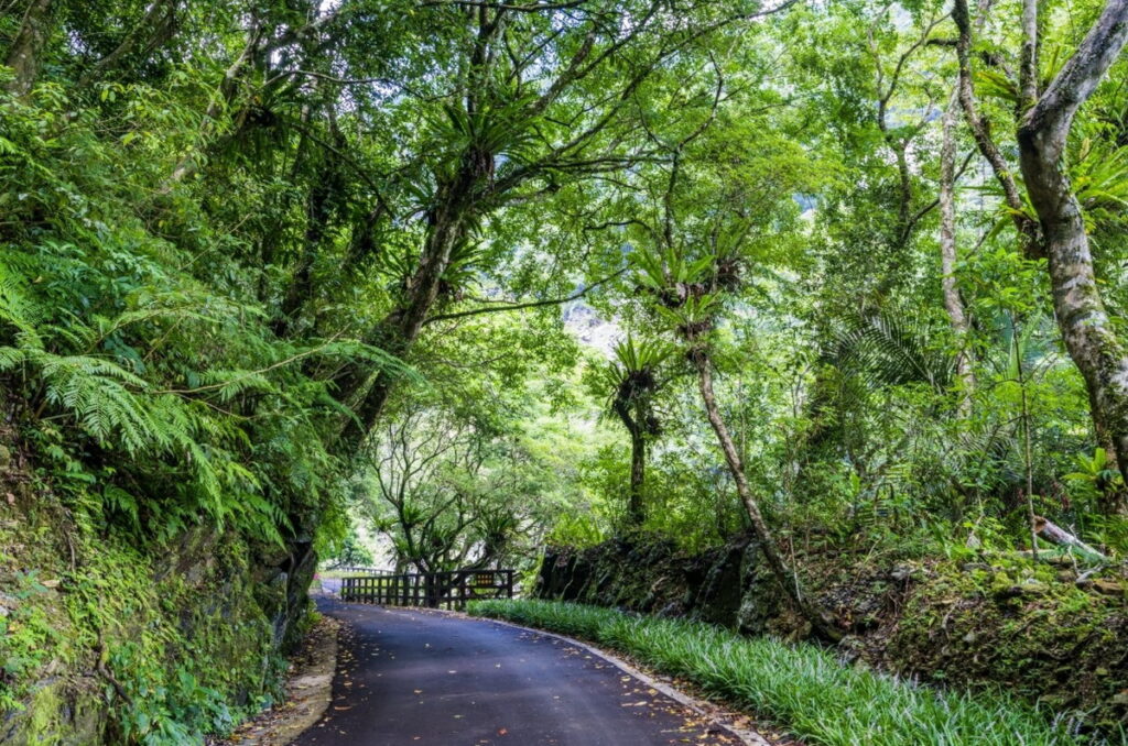內洞厥色森林步道