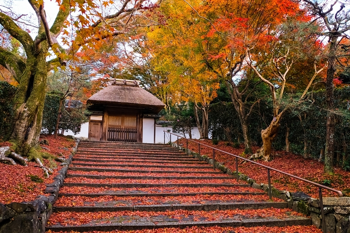 京都安樂寺隱藏在賞楓熱點「哲學之道」附近,可安排一起順遊。 圖:日本旅行情報局/來源