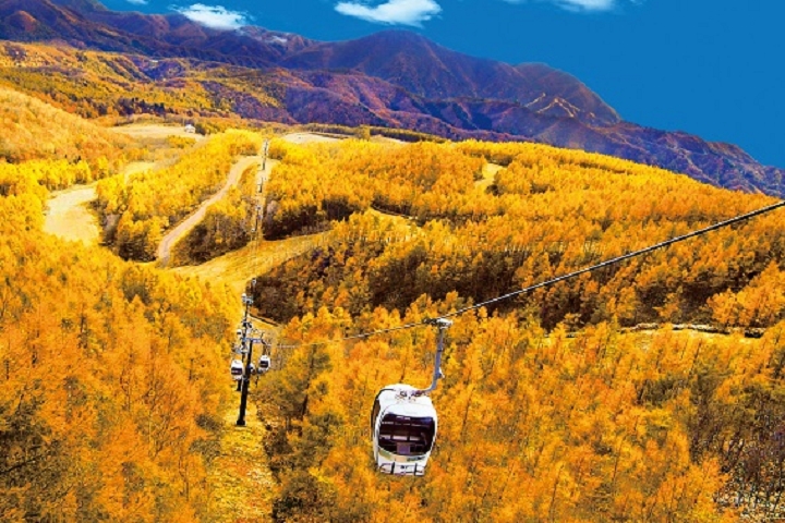2022裏磐梯紅葉纜車將運行到11月6日。 圖:Tokyu Resorts & Stays Co., Ltd./來源