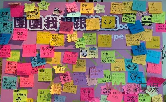 北市動物園大貓熊「團團」健康不佳  市府邀您祈福集氣