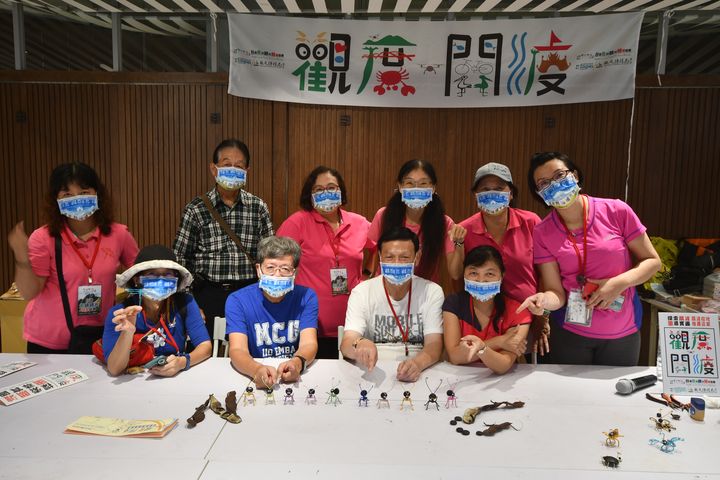 觀度關渡/從空中到草原 原來關渡這樣玩最精彩