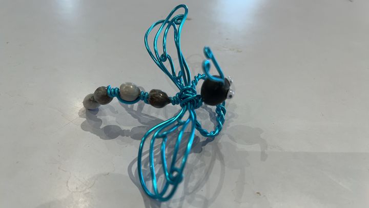 觀度關渡/從空中到草原 原來關渡這樣玩最精彩