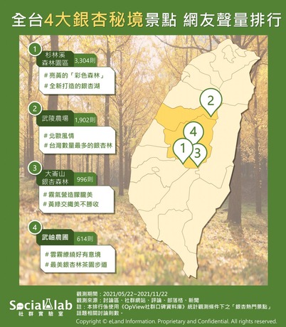 nl_ginkgo-1342x1536 (1).jpg