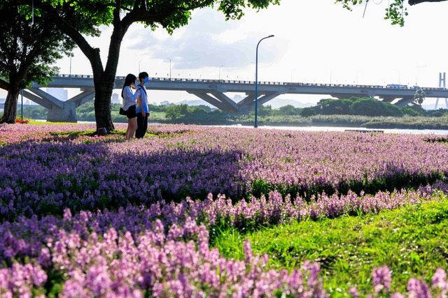 北市賞花.jpg