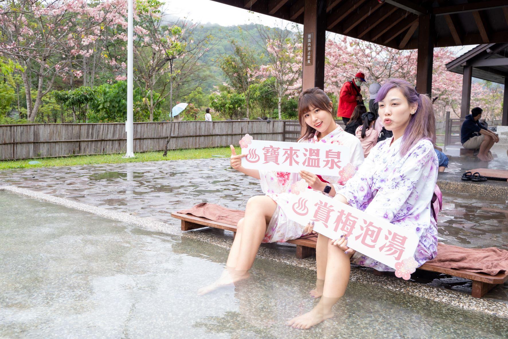 ▲冬季來寶來溫泉邊賞梅邊泡湯。(圖/觀光局提供)