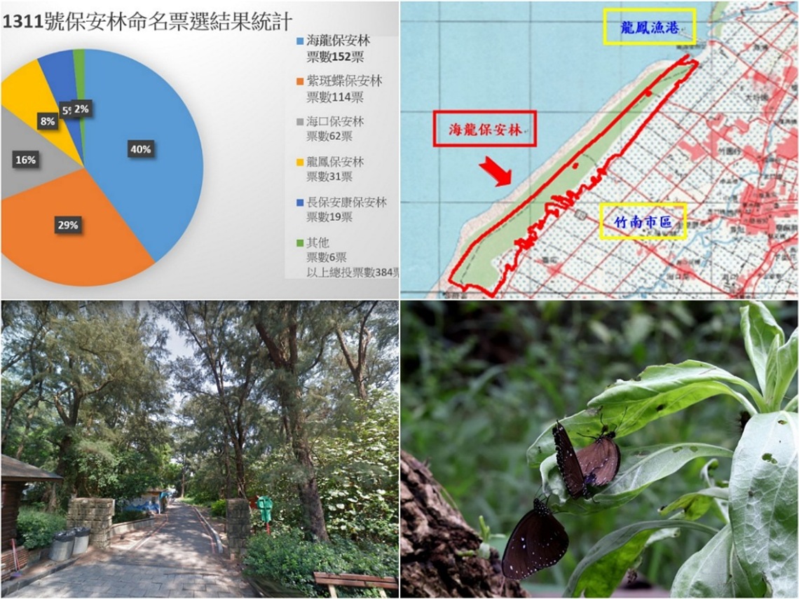 竹南海岸1311號保安林經票選改名為「海龍保安林」