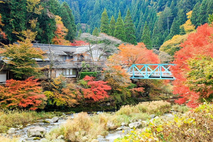 奧津溪的紅葉期約在10月下旬~11月中旬,此為往年盛況。 圖:岡山県観光連盟/來源