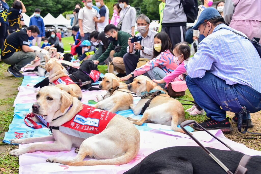 台灣導盲犬協會協同寄養家庭全員出動,安排執勤時認真專注的導盲犬卸下導盲鞍與背心,與民眾近距離接觸。(照片_遠東商銀提供)