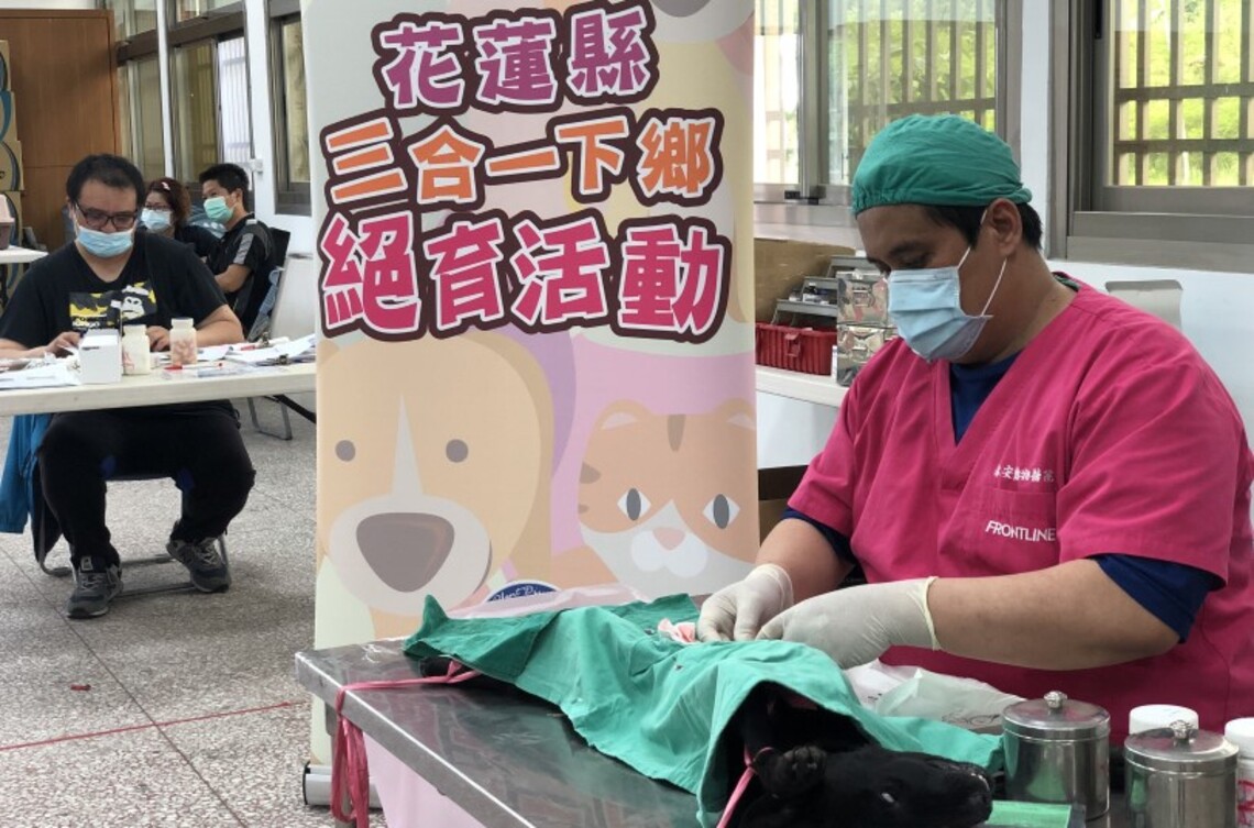「毛」起來做源頭減量 花蓮縣府提供免費犬貓三合一