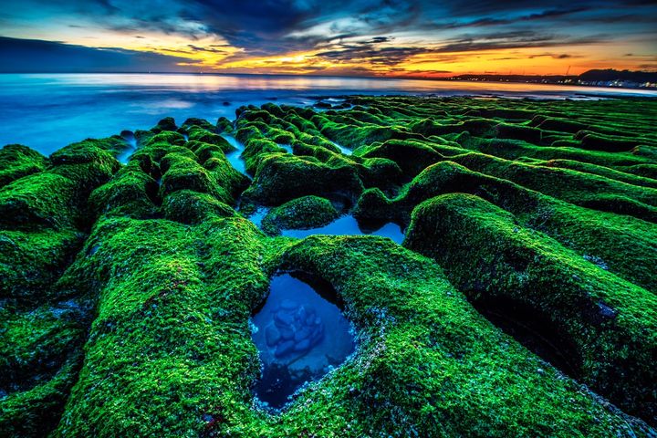 北海岸的老梅綠石槽。 圖:北海岸及觀音山國家風景區管理處/提供