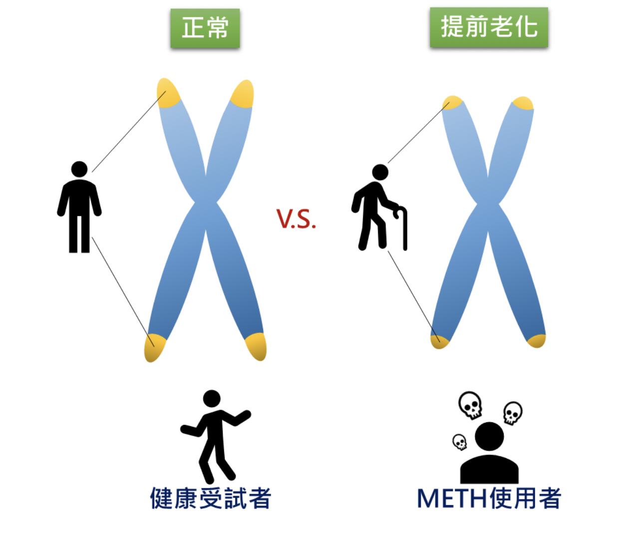 截圖 2022 11 07 上午10.36.21