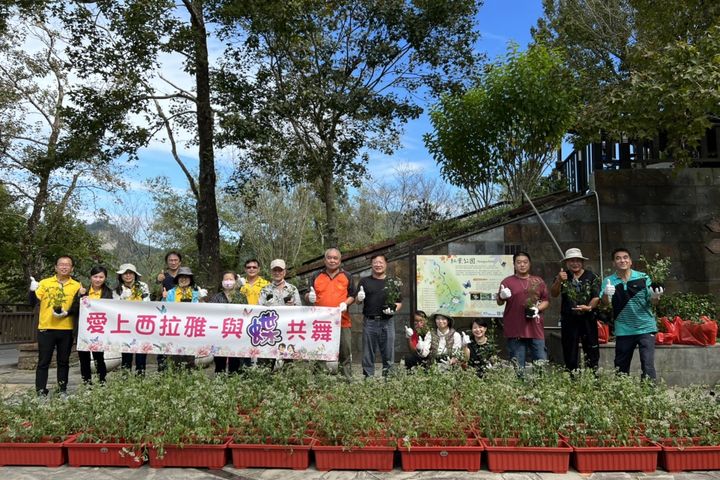 臺南市白河區關子嶺紅葉公園經休園整建,已於11/3重新開放。 圖:西拉雅國家風景區管理處/提供