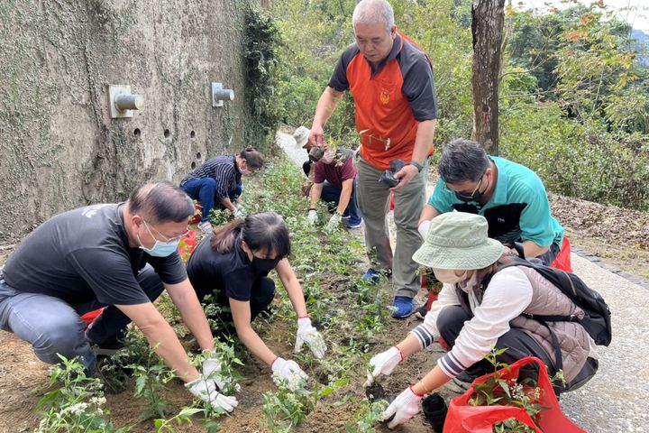 打造蝴蝶樂園!關子嶺紅葉公園新開放 一起來種蜜源植物