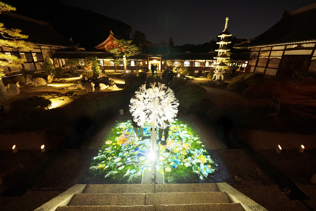 璀璨夜光秀11月登場！國寶彥根城參加蒲公英藝術投影企劃
