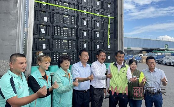 蔬果新容器環保又省錢　新式摺疊籃解決農民困難