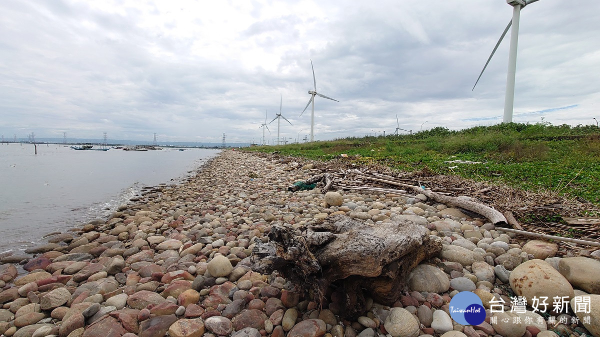 林管處開放彰化海岸地區漂流木撿拾 開放撿拾期間民眾辦理登記