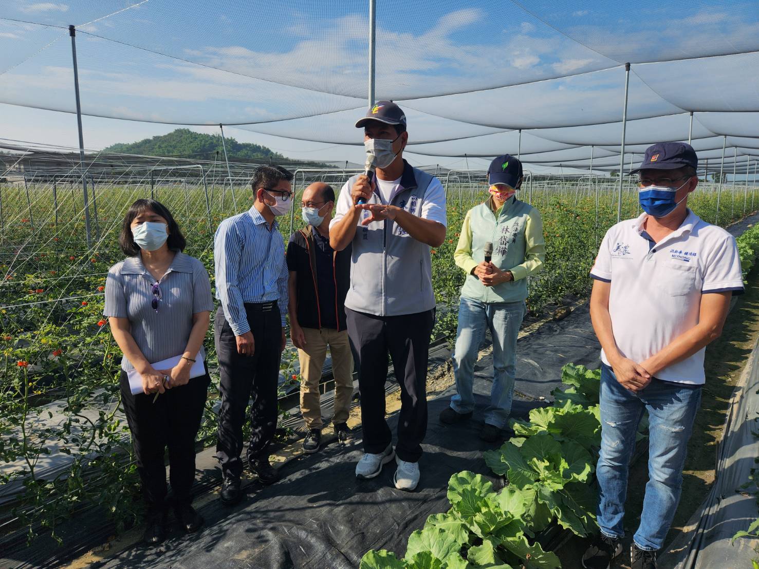 市議員朱信強請立委和官員會勘番茄災損