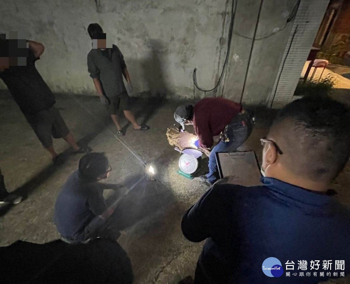 摸黑盜取國有林木，大溪警設攔截點查獲。