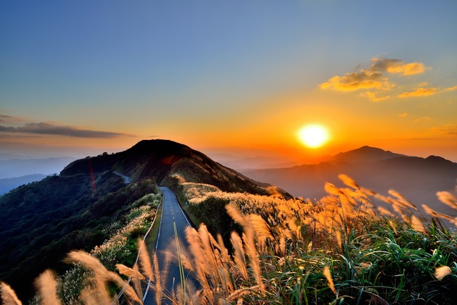 登上不厭亭瞭望山路搖曳芒花.jpg